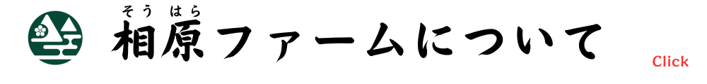 相原ファームについて