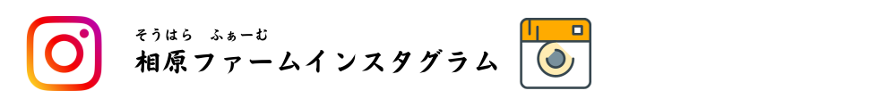 相原ファームのインスタグラムへリンク